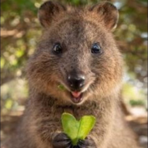 Meet your Posher, Marion - Picture 1 of 1